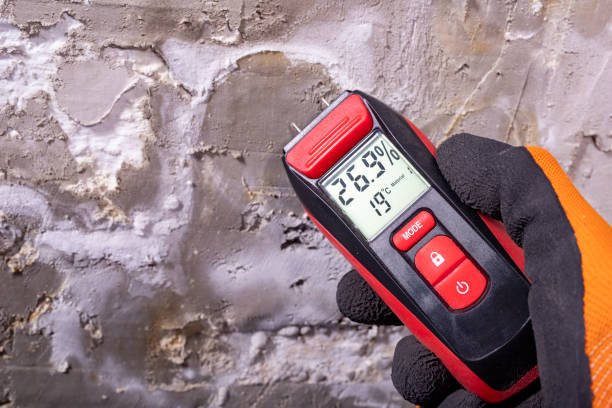 Bohners Lake, WI Mold Remediation Company