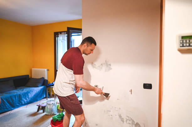 Best HVAC Mold Remediation in Bohners Lake, WI